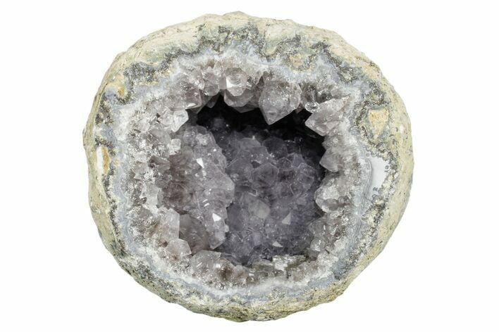 Las Choyas Coconut Geode Half with Smoky Quartz - Mexico #348471